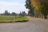 13401-Lot #3 Ave 328 - Photo 7