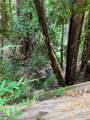 00 Old Logging Road - Photo 15