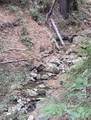 00 Old Logging Road - Photo 18
