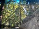 00 Old Logging Road - Photo 3