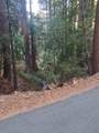 00 Old Logging Road - Photo 9