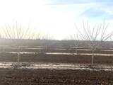  Avenue 204 - Photo 1