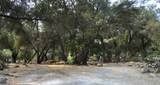 43777 Kaweah River Drive - Photo 54