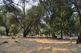 43777 Kaweah River Drive - Photo 57
