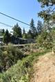 263 Rabbit Foot Trail Trail - Photo 23