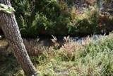 263 Rabbit Foot Trail Trail - Photo 4