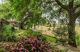 3670 Newmark Avenue - Photo 71