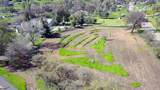 0 Tule Oak Drive - Photo 6