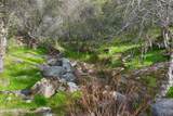 44755 Savage Road - Photo 42