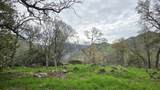 40838 Oak Ridge Drive - Photo 49