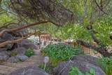 31898 Success Valley Drive - Photo 47