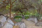 31898 Success Valley Drive - Photo 48