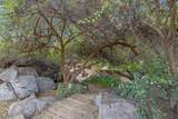 31898 Success Valley Drive - Photo 49