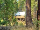 57918 Redwood Trail - Photo 46