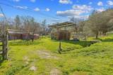 42843 Fork Drive - Photo 49