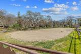 42843 Fork Drive - Photo 59