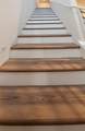 10970 Honeysuckle Drive - Photo 12