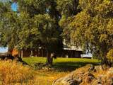 30723 Hamilton Drive - Photo 3