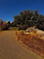 30723 Hamilton Drive - Photo 6