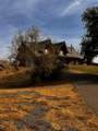 30723 Hamilton Drive - Photo 7