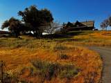 30723 Hamilton Drive - Photo 8