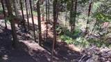 54706 Cedar Drive - Photo 45