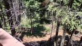 54706 Cedar Drive - Photo 46