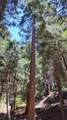 54706 Cedar Drive - Photo 56