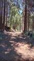 54706 Cedar Drive - Photo 57