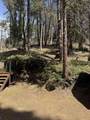 57926 Manzanita Trail - Photo 50