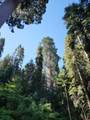 54838 Ponderosa Drive - Photo 46