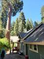 54838 Ponderosa Drive - Photo 50