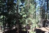 54838 Ponderosa Drive - Photo 59