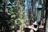 54838 Ponderosa Drive - Photo 60