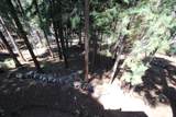 54838 Ponderosa Drive - Photo 61