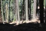 54838 Ponderosa Drive - Photo 65