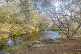 44879 Dinely Drive - Photo 43