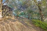 44879 Dinely Drive - Photo 60