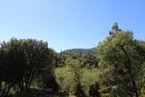 266 Soda Springs Court - Photo 39