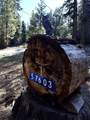 57603 Crest Drive - Photo 43