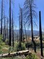  Highway 190 - Photo 1