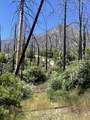  Highway 190 - Photo 2