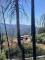  Highway 190 - Photo 6
