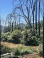  Highway 190 - Photo 7