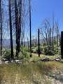  Highway 190 - Photo 9
