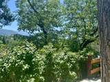 265 Fern Place - Photo 44