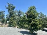 265 Fern Place - Photo 8