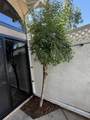1819 Stover Street - Photo 28