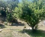 44079 Pine Flat Drive - Photo 32