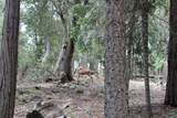 565 Trails End - Photo 14